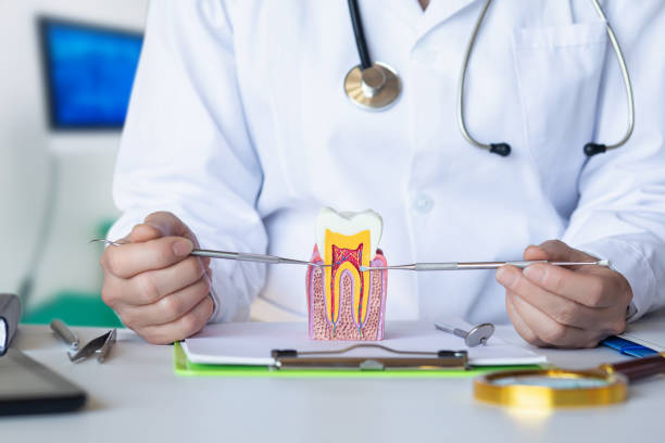 Best Emergency Dental Clinic in MT